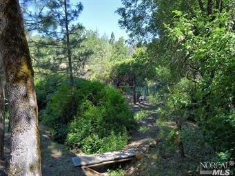 8040 High Valley Rd, Cobb, CA 95426 photo 26