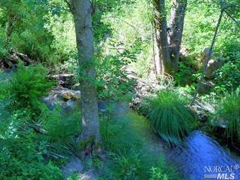 8040 High Valley Rd, Cobb, CA 95426 photo 33