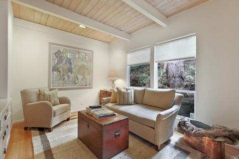 401 Marion Ave, Mill Valley, CA 94941 photo 13