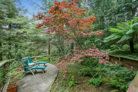 401 Marion Ave, Mill Valley, CA 94941 photo 24