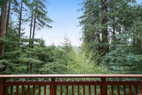 401 Marion Ave, Mill Valley, CA 94941 photo 25