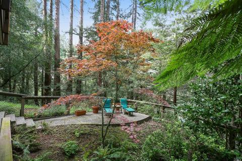 401 Marion Ave, Mill Valley, CA 94941 photo 23