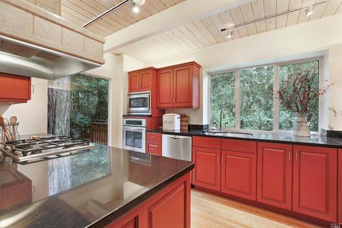 401 Marion Ave, Mill Valley, CA 94941 photo 9