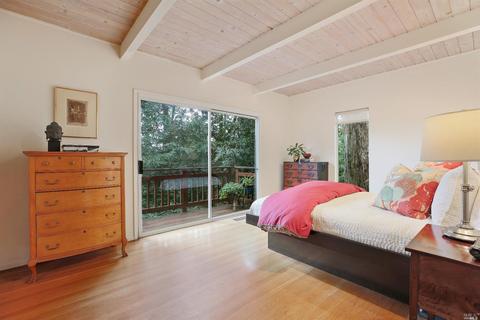 401 Marion Ave, Mill Valley, CA 94941 photo 14