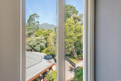21 Oakdale Ave, Mill Valley, CA 94941 photo 27