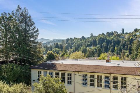 21 Oakdale Ave, Mill Valley, CA 94941 photo 40