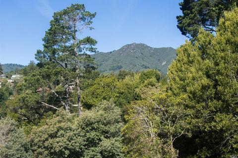 21 Oakdale Ave, Mill Valley, CA 94941 photo 39