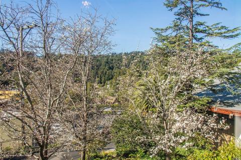 21 Oakdale Ave, Mill Valley, CA 94941 photo 41