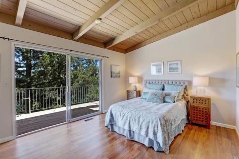 1202 El Cide Ct, Mill Valley, CA 94941 photo 5