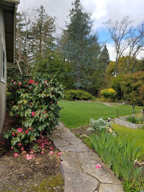 211 Jensen Ln, Windsor, CA 95492 photo 17