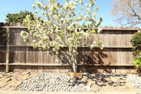 1687 Sutter Ct, Petaluma, CA 94954 photo 46