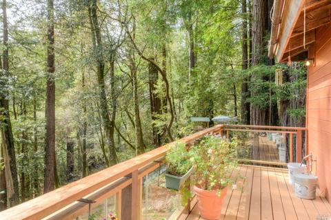 22014 Davis Way, Timber Cove, CA 95450 photo 22