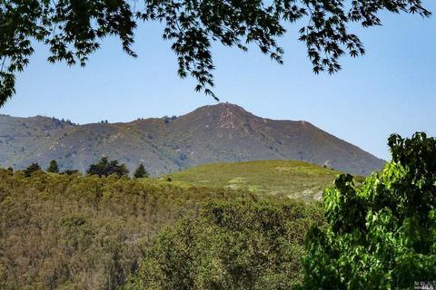 875 Marin Dr, Mill Valley, CA 94941 photo 35