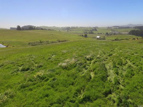 6484 Bodega Ave, Petaluma, CA 94952 photo 11