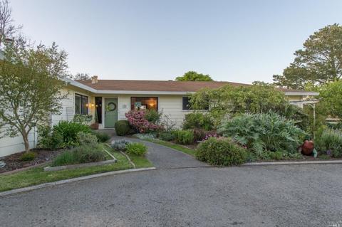 230 Eucalyptus Rd, Petaluma, CA 94952 photo 6