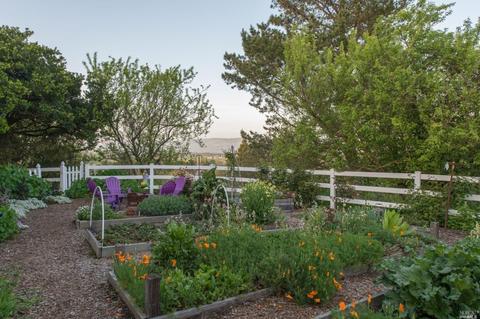 230 Eucalyptus Rd, Petaluma, CA 94952 photo 38