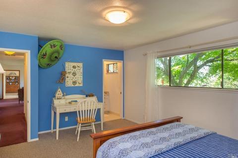 230 Eucalyptus Rd, Petaluma, CA 94952 photo 22