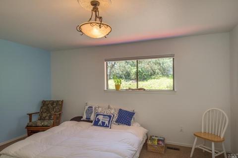 230 Eucalyptus Rd, Petaluma, CA 94952 photo 26