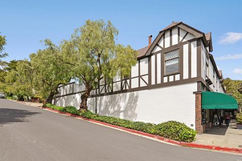 14 Bernard St, Mill Valley, CA 94941 photo 27