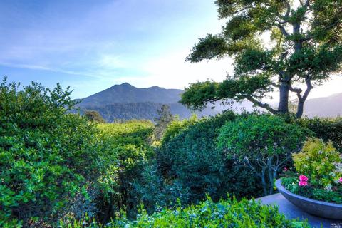 3 Newell Rd, Ross, CA 94957 photo 43