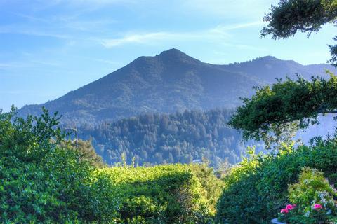 3 Newell Rd, Ross, CA 94957 photo 44
