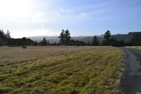 18182 Fitzpatrick Ln, Occidental, CA 95465 photo 31