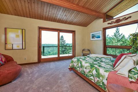 18182 Fitzpatrick Ln, Occidental, CA 95465 photo 20