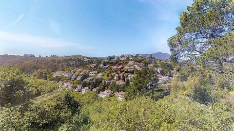 Undisclosed, Mill Valley, CA 94941 photo 10