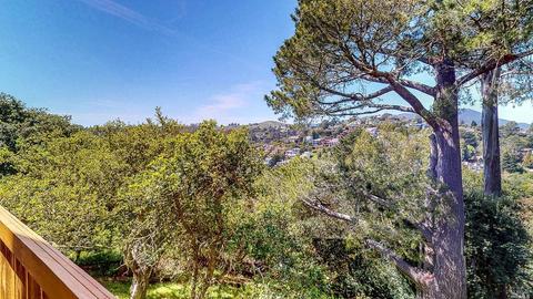 Undisclosed, Mill Valley, CA 94941 photo 18