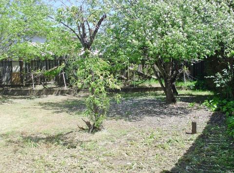 3335 Bingham Pl, Fairfield, CA 94534 photo 25