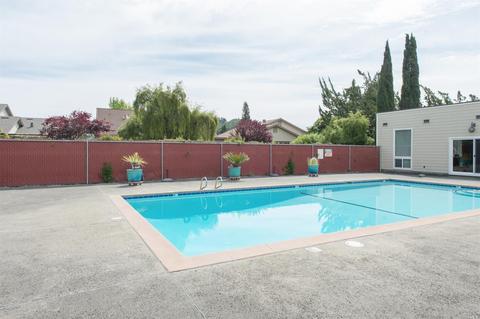 236 Prune Tree Dr, Healdsburg, CA 95448 photo 16
