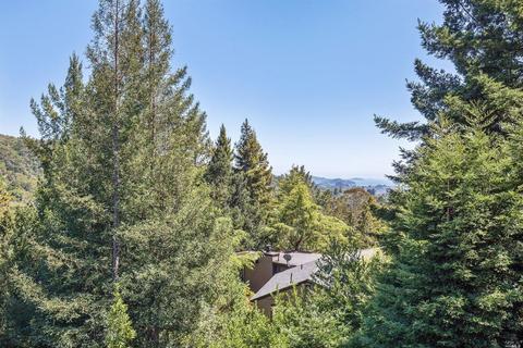 319 Ralston Ave, Mill Valley, CA 94941 photo 32