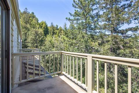 319 Ralston Ave, Mill Valley, CA 94941 photo 39