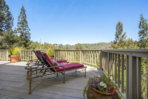 319 Ralston Ave, Mill Valley, CA 94941 photo 41