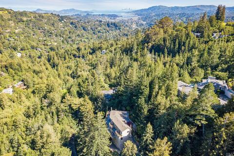319 Ralston Ave, Mill Valley, CA 94941 photo 46