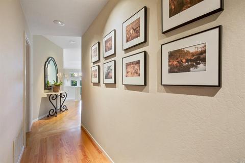 319 Ralston Ave, Mill Valley, CA 94941 photo 24