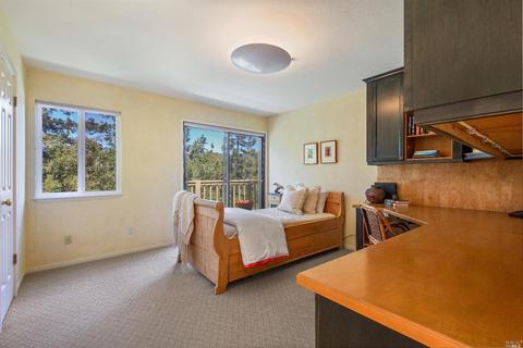 319 Ralston Ave, Mill Valley, CA 94941 photo 34
