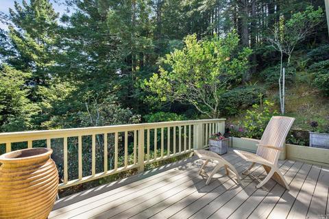319 Ralston Ave, Mill Valley, CA 94941 photo 30