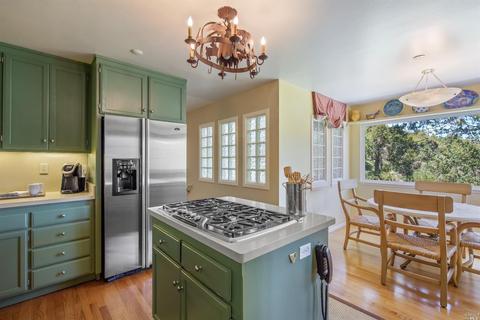 319 Ralston Ave, Mill Valley, CA 94941 photo 15
