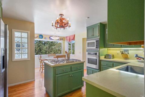 319 Ralston Ave, Mill Valley, CA 94941 photo 16