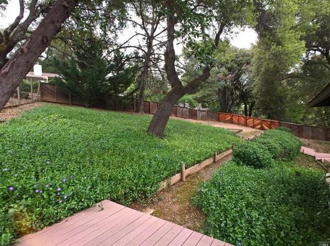 1380 Sequoia Plz, Ukiah, CA 95482 photo 35