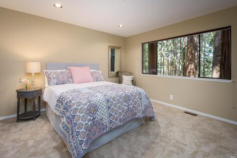 337 Marion Ave, Mill Valley, CA 94941 photo 18
