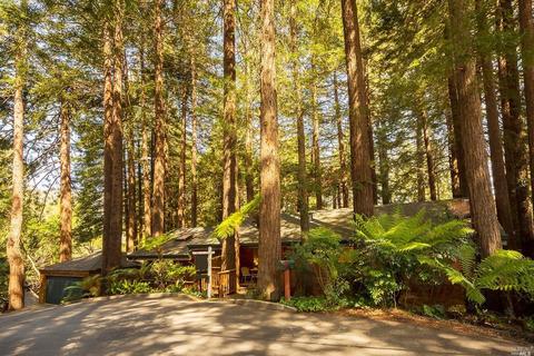 337 Marion Ave, Mill Valley, CA 94941 photo 30
