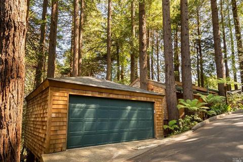 337 Marion Ave, Mill Valley, CA 94941 photo 22