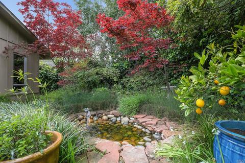 29 Apollo Rd, Tiburon, CA 94920 photo 36