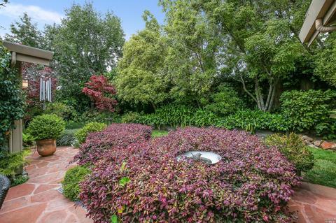 29 Apollo Rd, Tiburon, CA 94920 photo 35