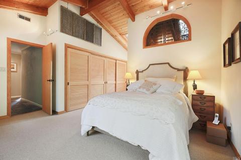 29 Apollo Rd, Tiburon, CA 94920 photo 22