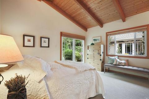 29 Apollo Rd, Tiburon, CA 94920 photo 23