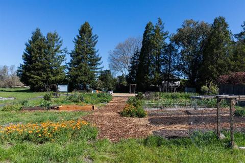 8860 Willow Ave, Cotati, CA 94931 photo 17