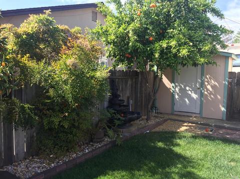 1013 Quail Dr, Fairfield, CA 94533 photo 19